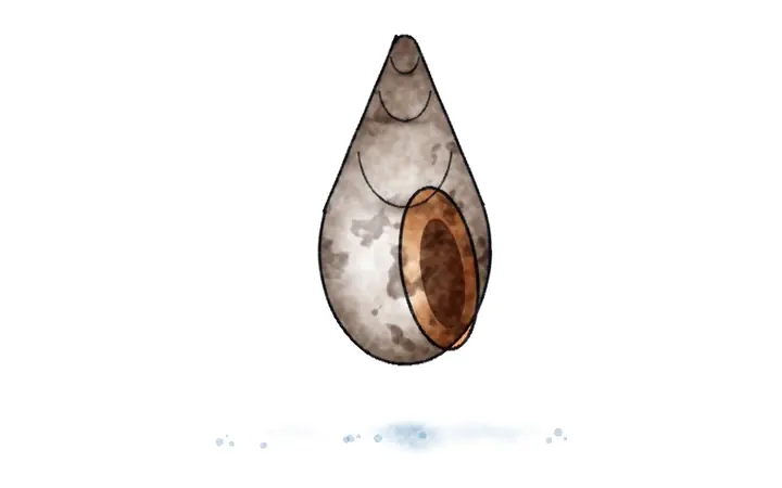 Volak crvenousti